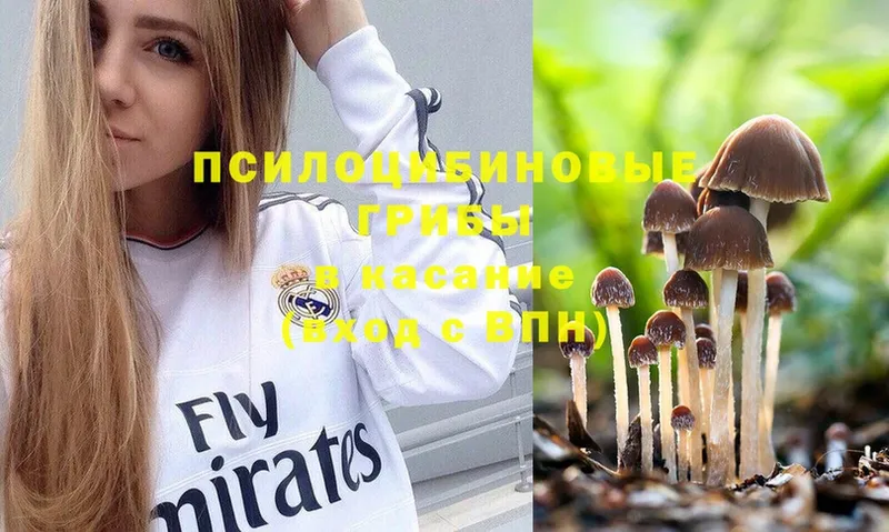 Псилоцибиновые грибы Psilocybine cubensis  Карабаново 